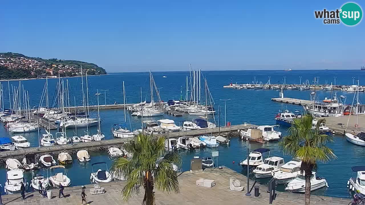 Webcam Koper – Panorama of the marina and promenade from the Grand Hotel Koper