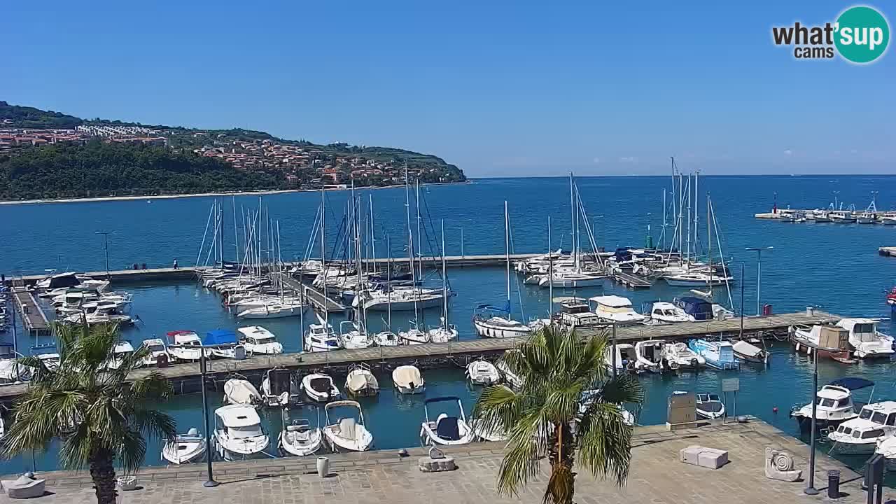 Spletna kamera Koper – Panorama na marino in promenado s Hotela Grand Koper