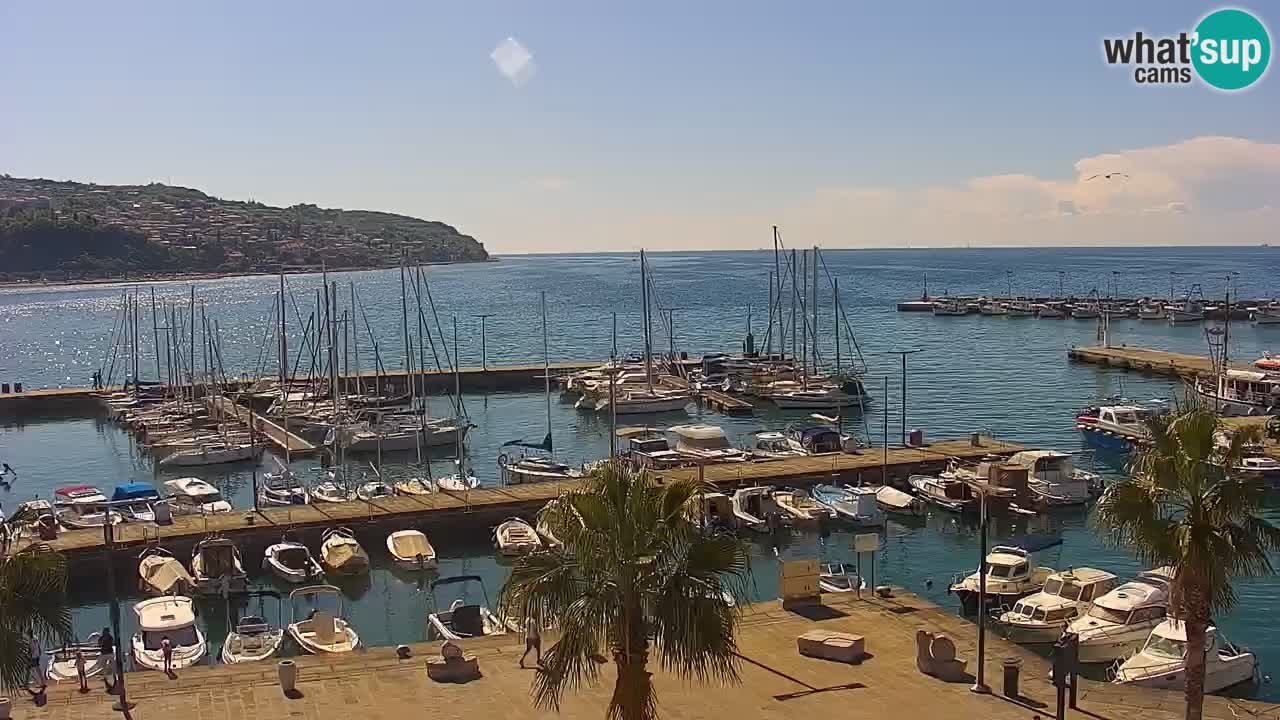 Der Hafen von Koper Live-Webcam – Kreuzfahrt- und Frachthafen – Slowenien