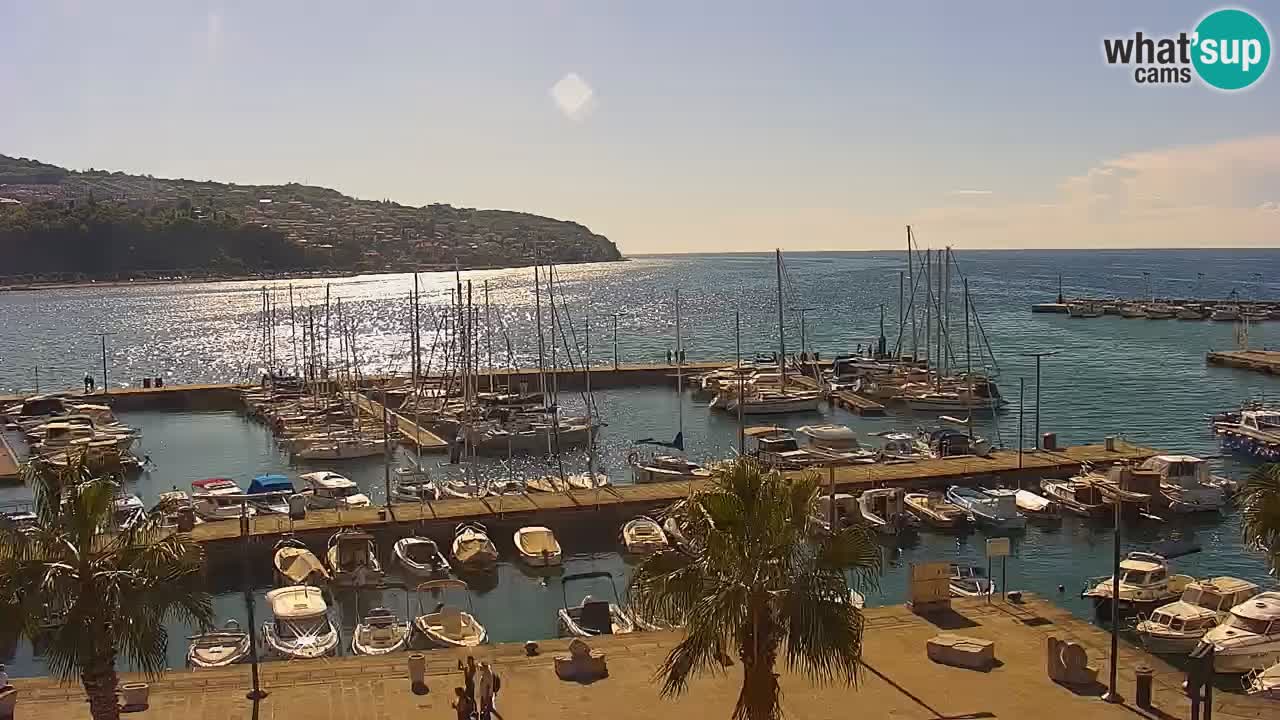 Il porto di Koper – Capodistria live webcam – porto crociere e mercantile – Slovenia