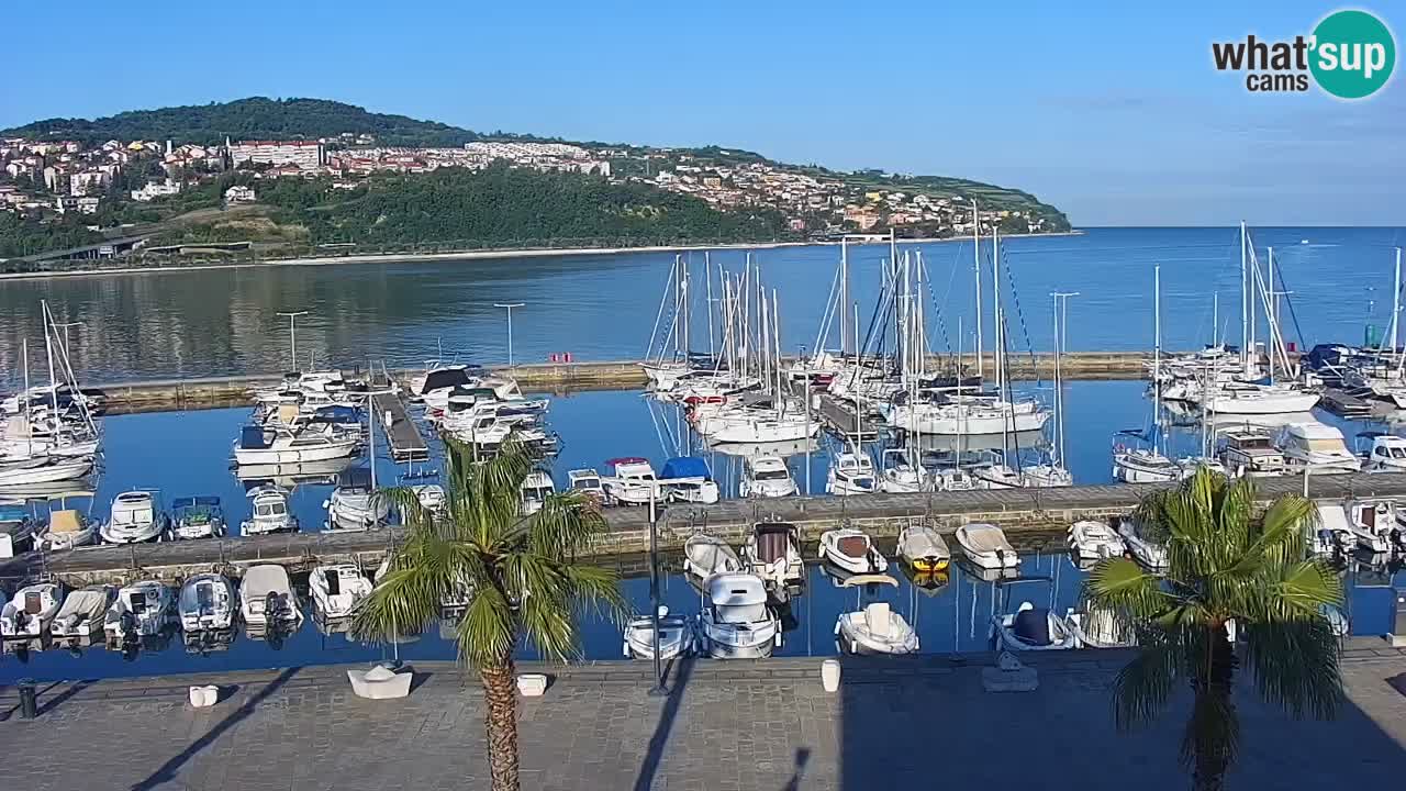 Der Hafen von Koper Live-Webcam – Kreuzfahrt- und Frachthafen – Slowenien