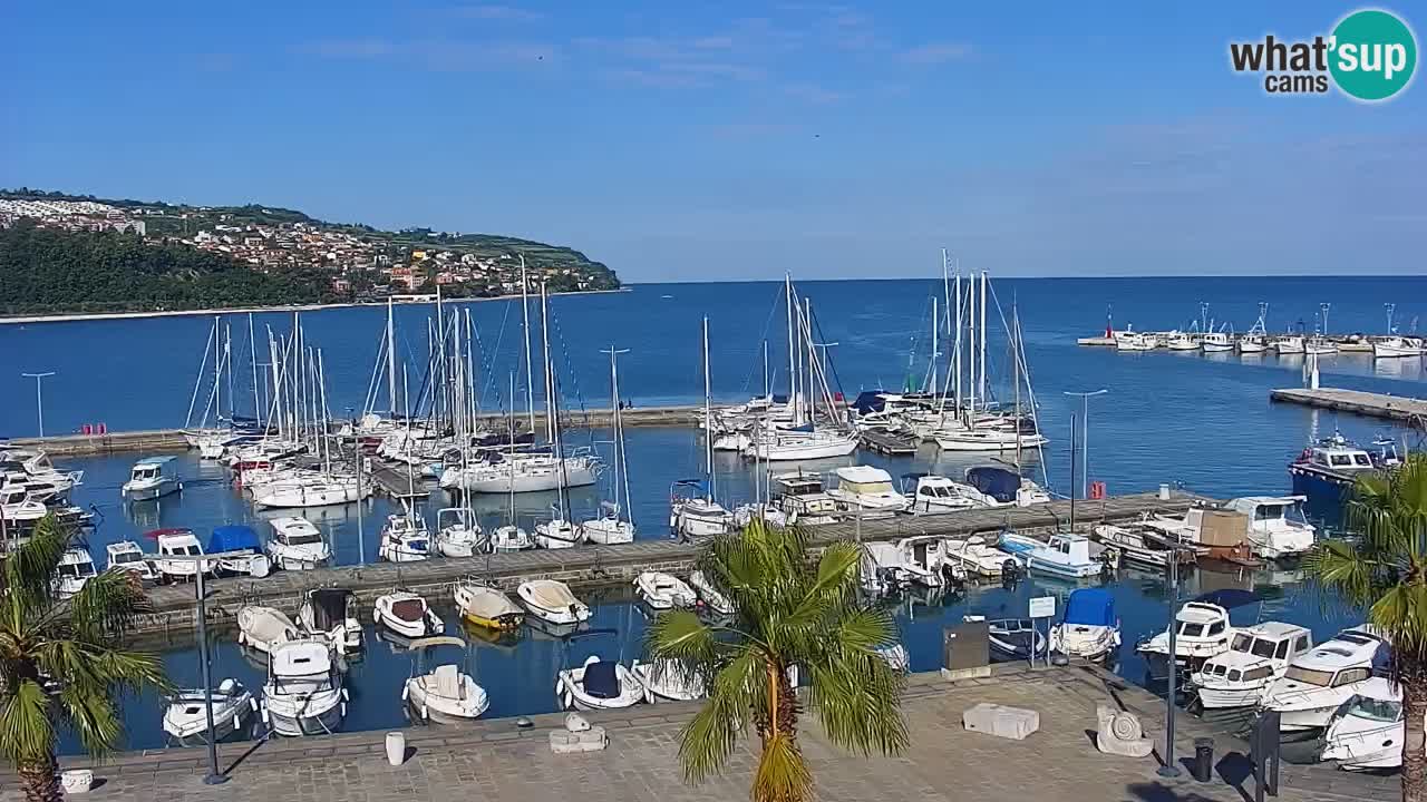 Webcam Koper – Panorama des Jachthafens und der Promenade vom Hotel Grand Koper