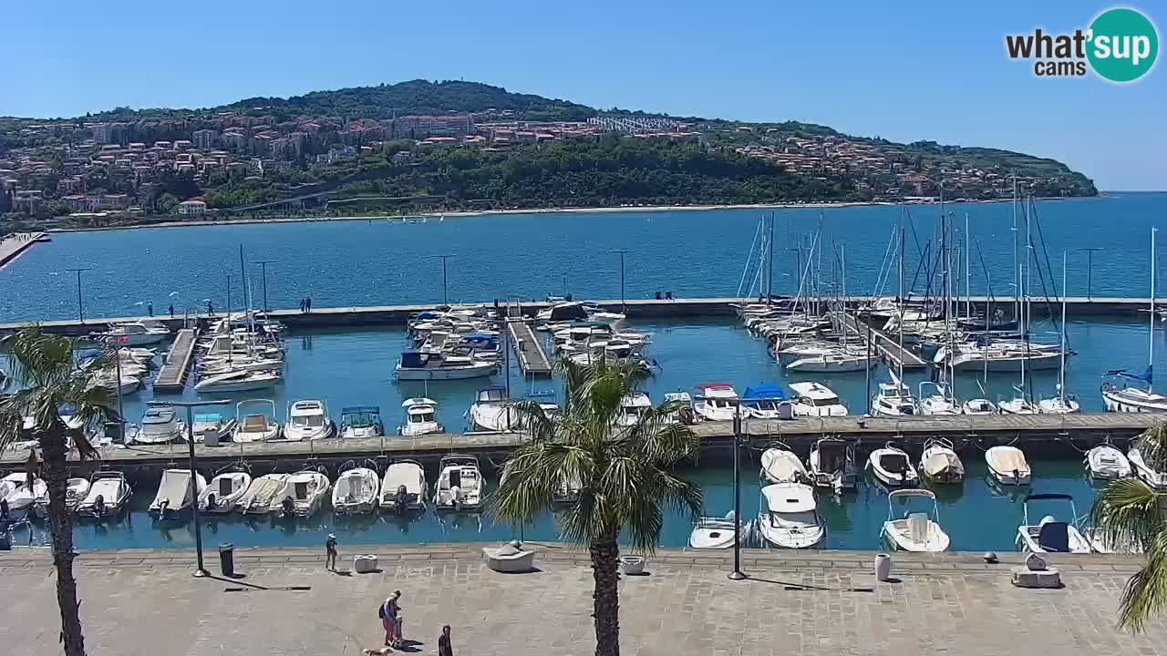 Livecam Koper – Ukmarjev trg