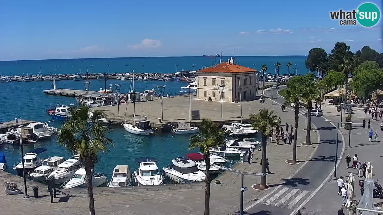 The Port of Koper live webcam – cruise and cargo port – Slovenia