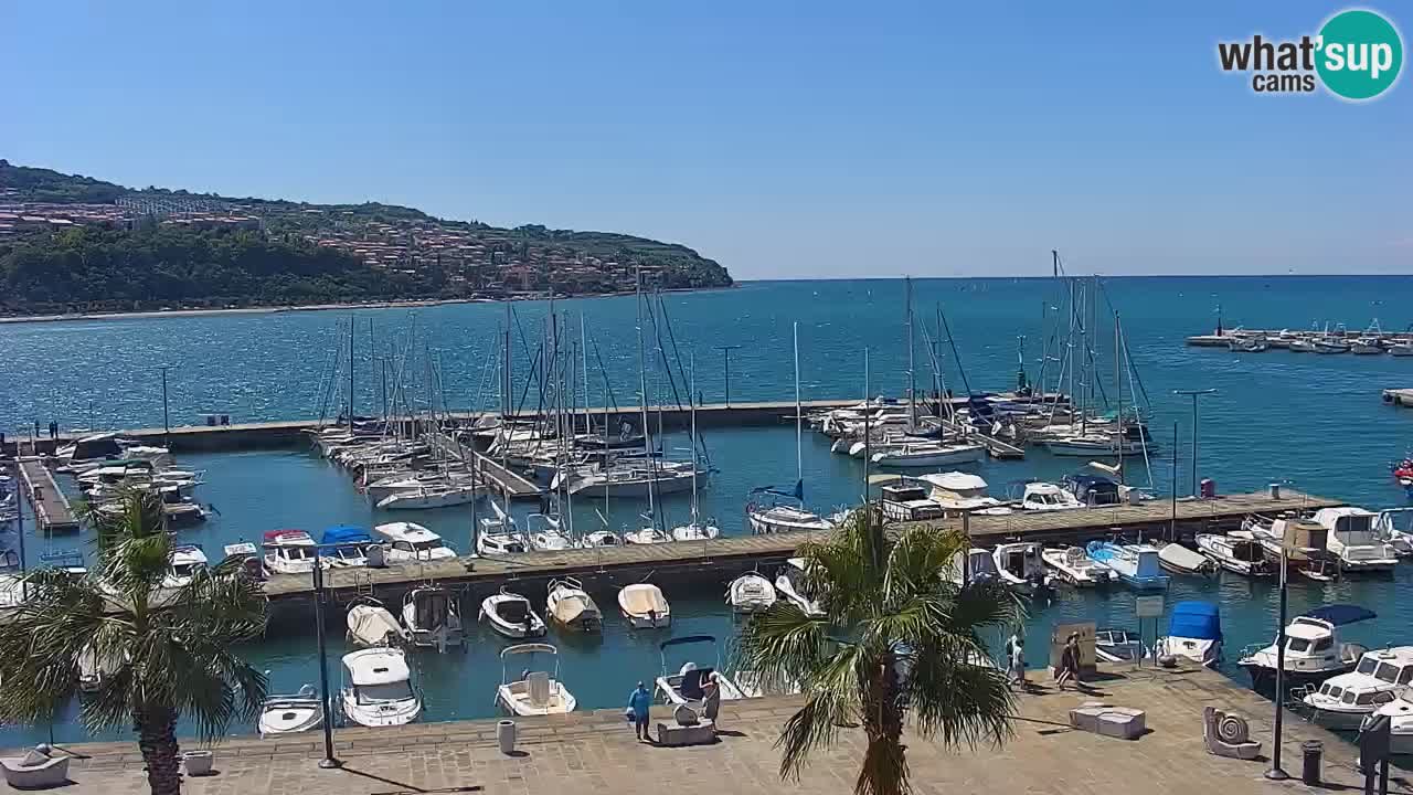 Luka Kopar uživo web kamera – Turistički terminal i teretna luka – Slovenija