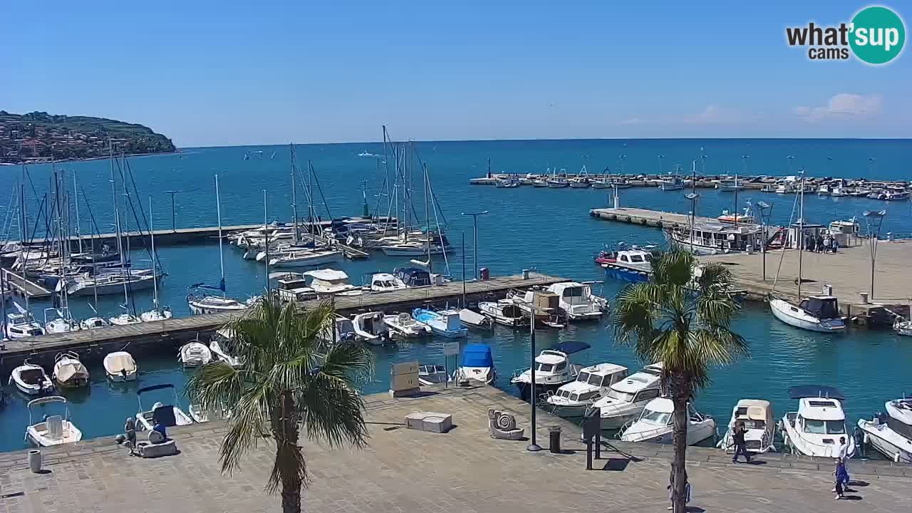 Webcam Koper – Panorama of the marina and promenade from the Grand Hotel Koper