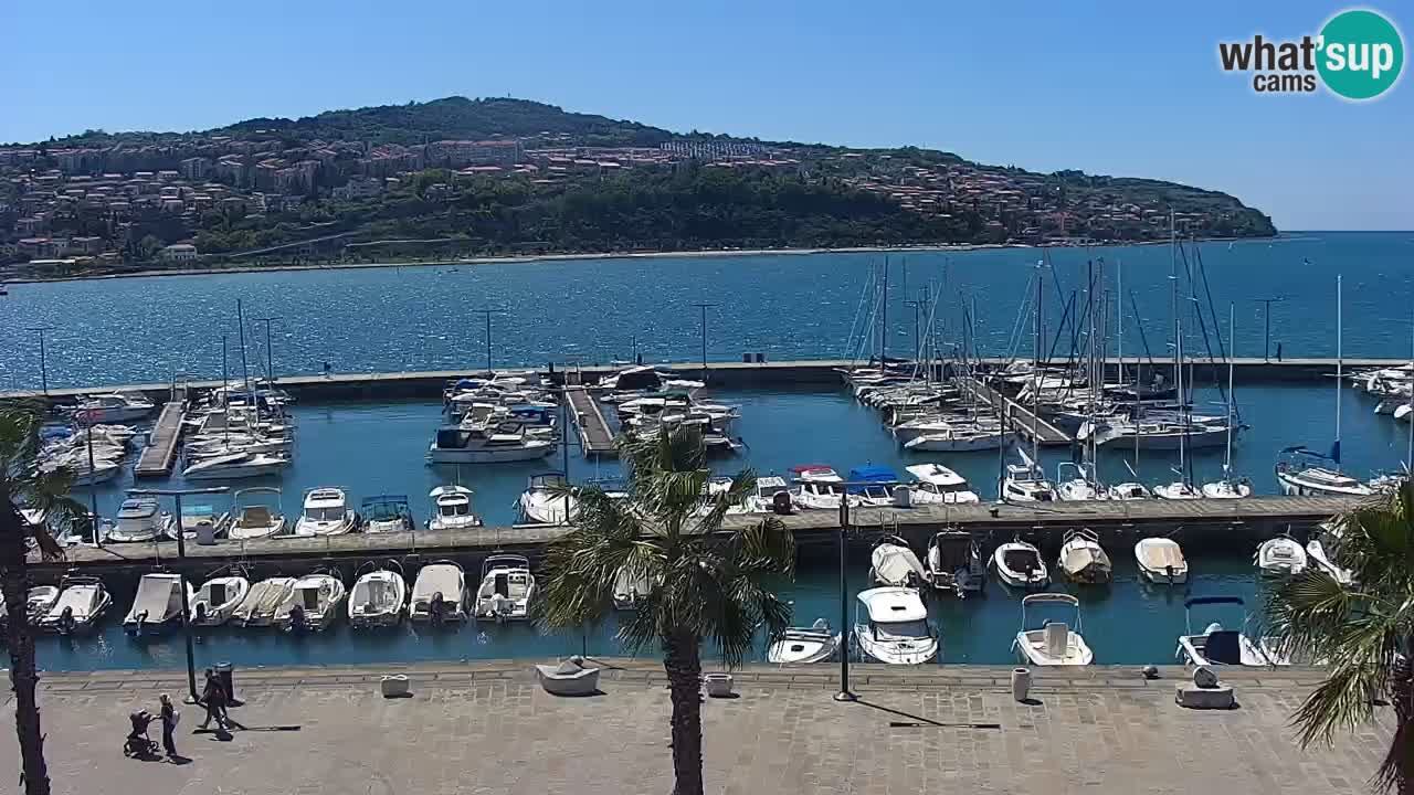 Spletna kamera Luka Koper v živo – Potniški terminal in tovorno pristanišče – Slovenija