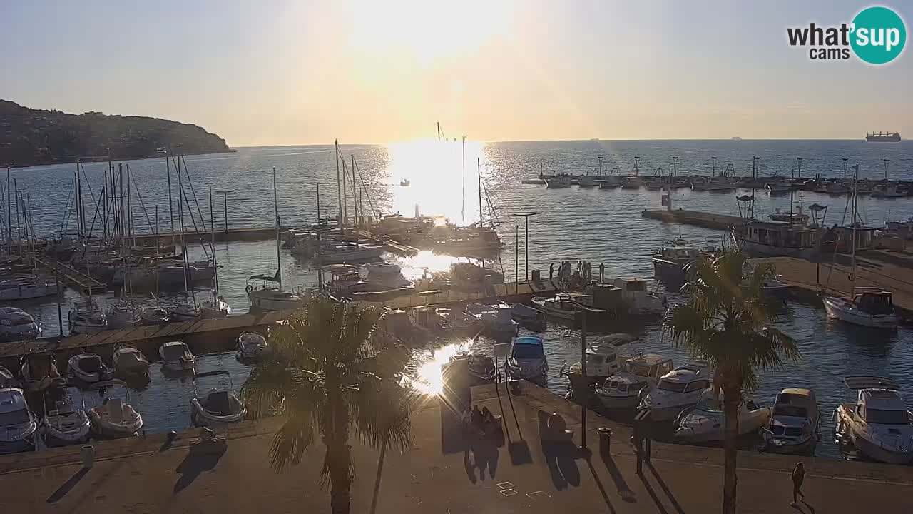 Der Hafen von Koper Live-Webcam – Kreuzfahrt- und Frachthafen – Slowenien