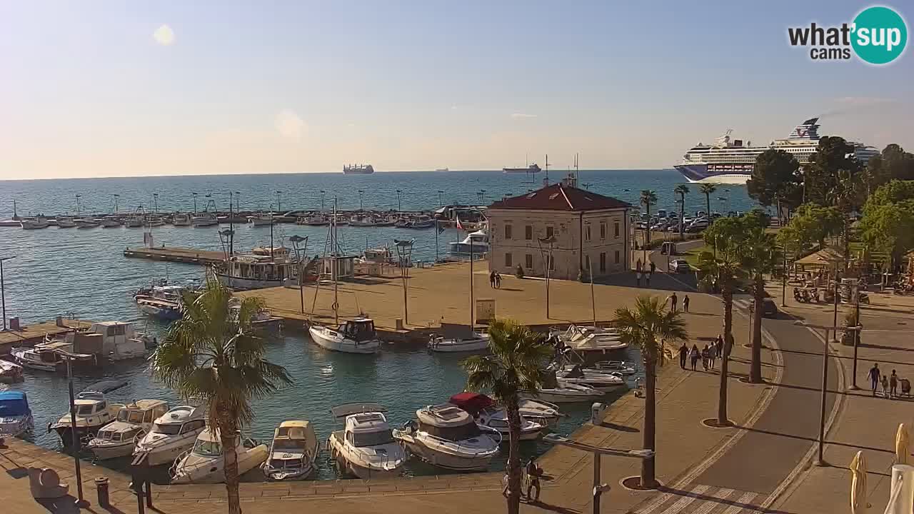 Web kamera Koper – marina i promenada – hotel Grand Koper
