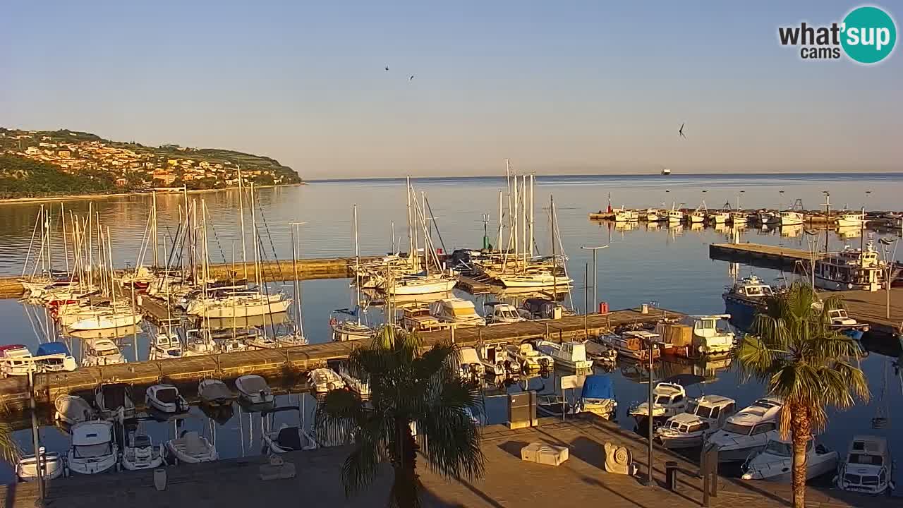 The Port of Koper live webcam – cruise and cargo port – Slovenia