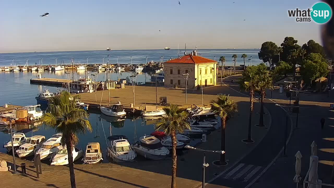 Camera en Vivo Koper – Ukmarjev trg