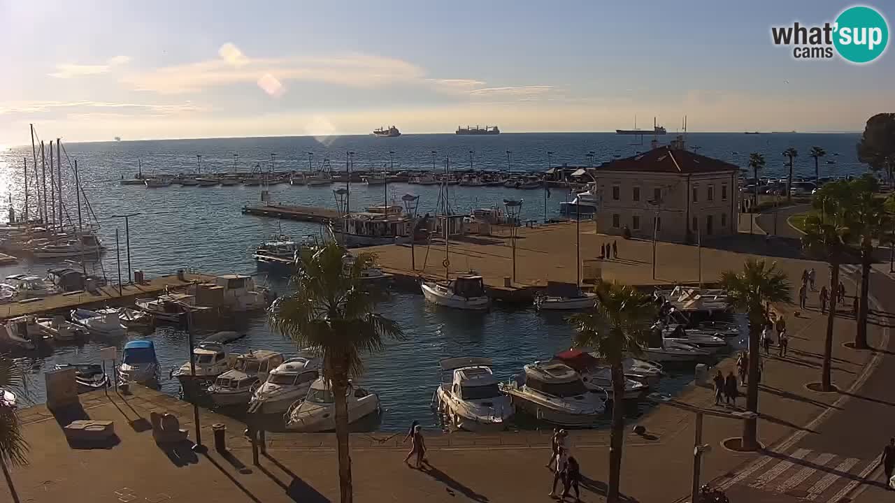 Web kamera Koper – marina i promenada – hotel Grand Koper