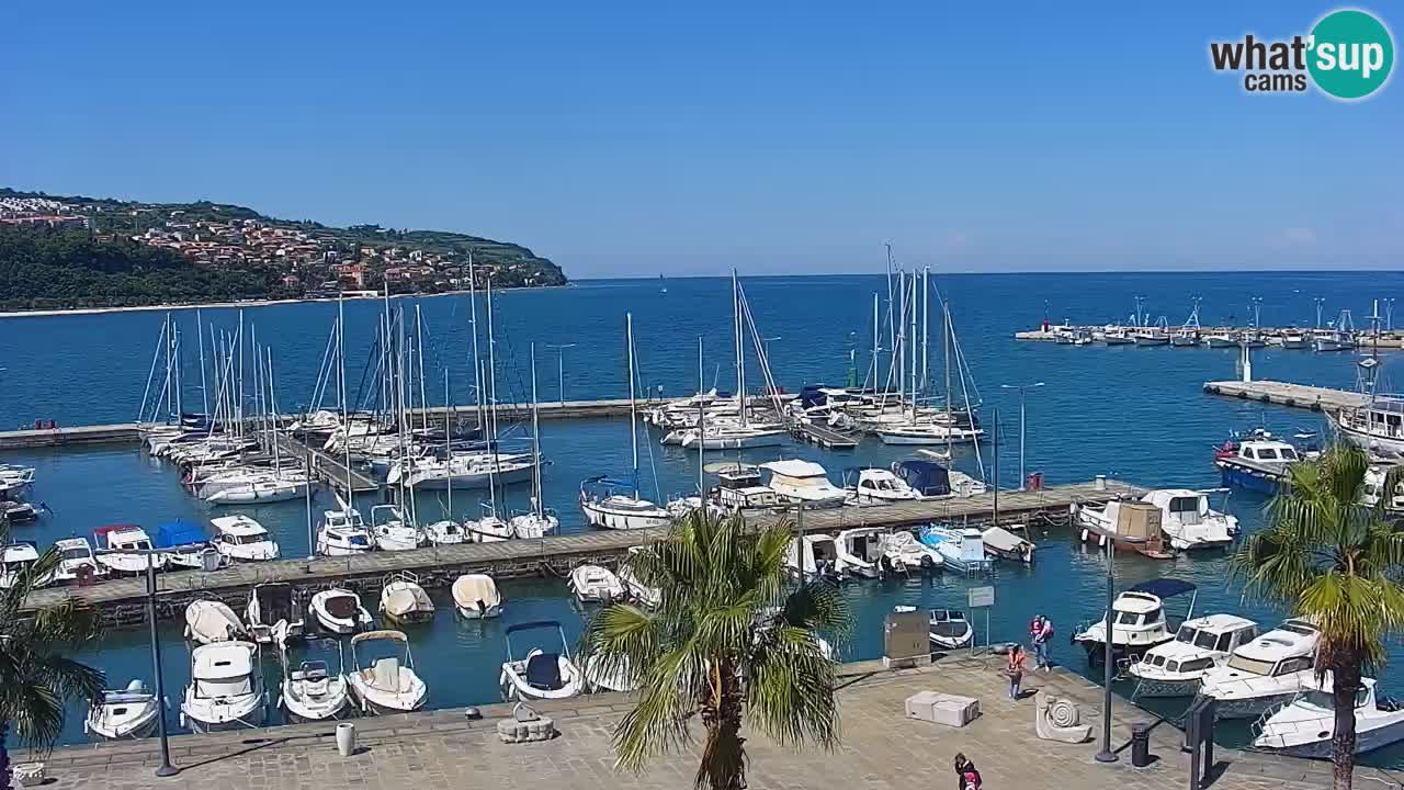 Webcam Capodistria – marina e lungo mare dall’Hotel Grand Koper