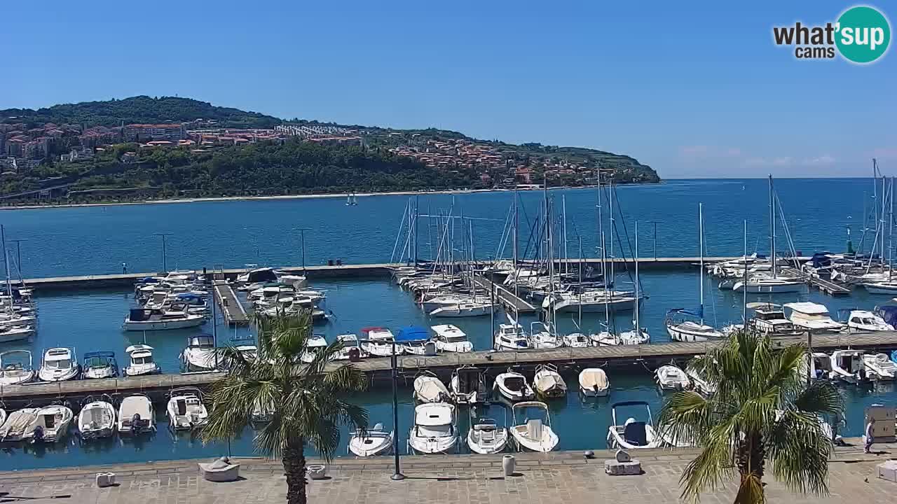 Webcam Capodistria – Piazza Ukmar