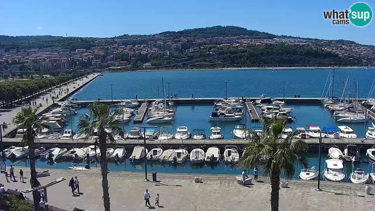 Der Hafen von Koper Live-Webcam – Kreuzfahrt- und Frachthafen – Slowenien