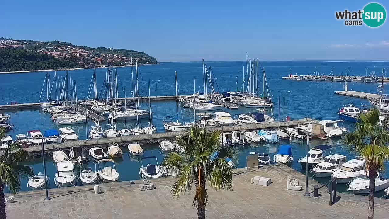Webcam en vivo del Puerto de Koper – puerto de carga y cruceros – Eslovenia