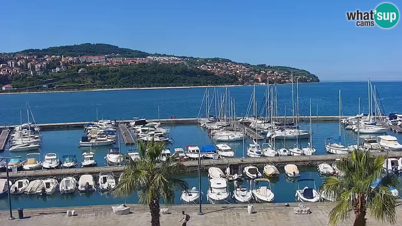 Webcam en vivo del Puerto de Koper – puerto de carga y cruceros – Eslovenia