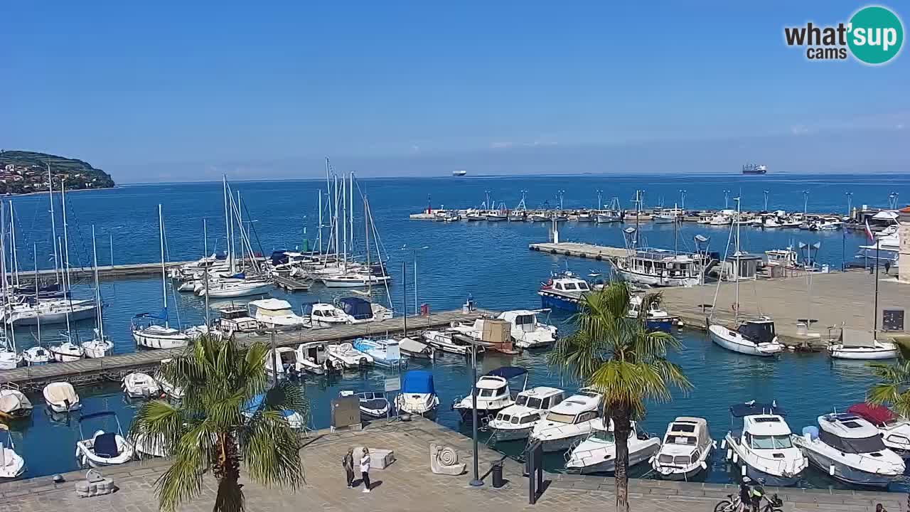 Webcam Koper – Panorama de la marina et de la promenade depuis le Grand Hotel Koper