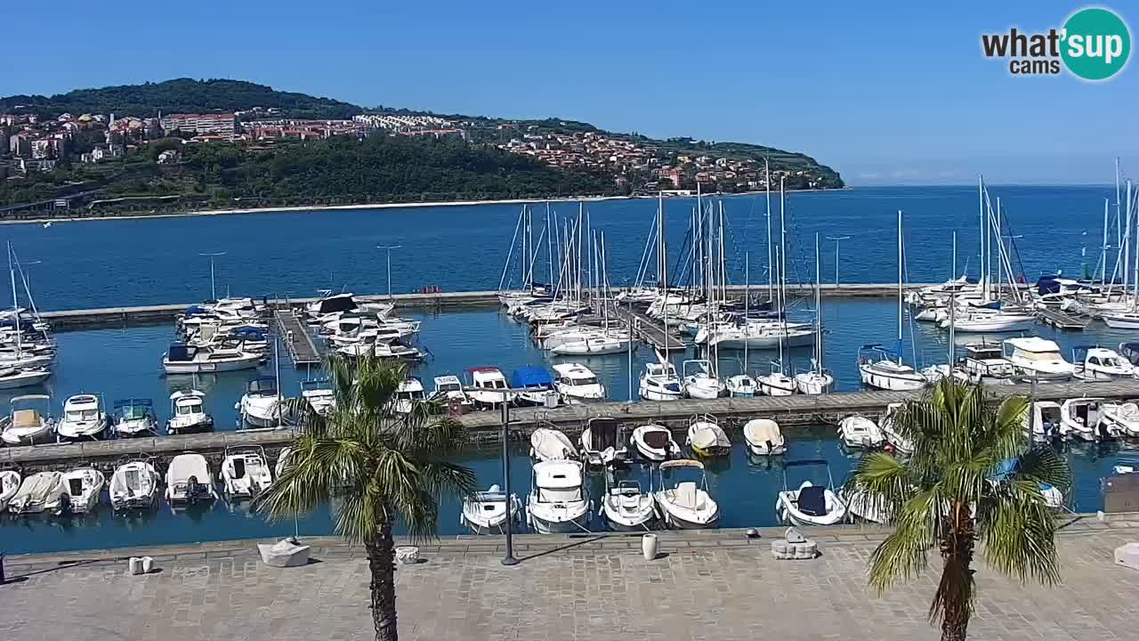 Web kamera Koper – marina i promenada – hotel Grand Koper