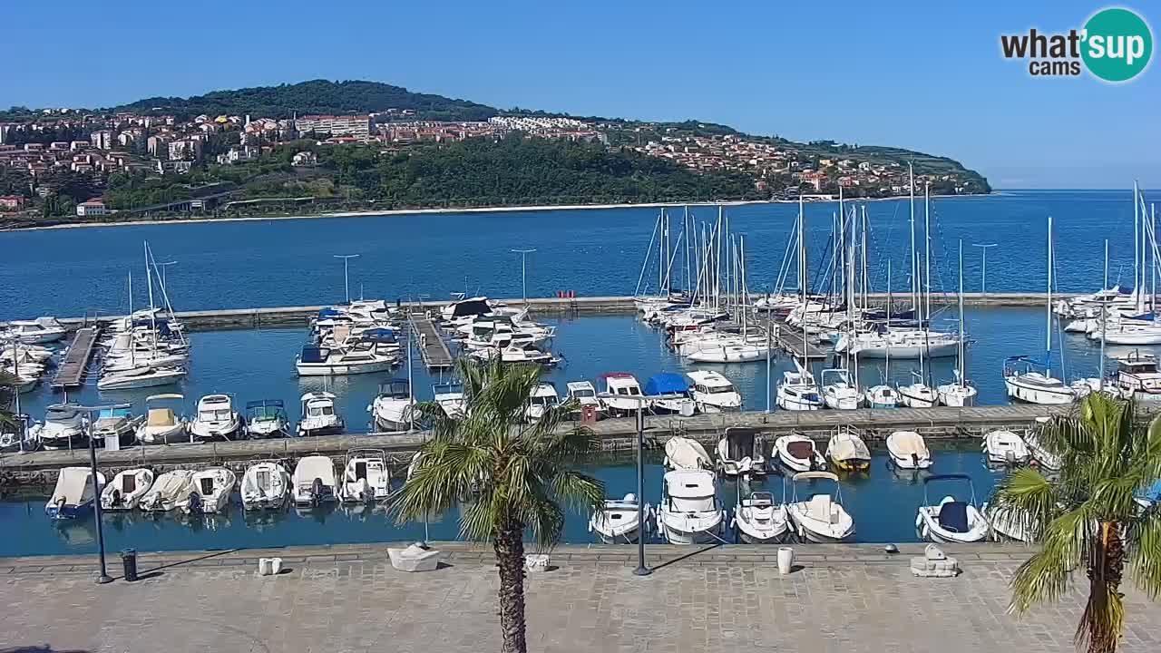 Webcam Koper – Panorama des Jachthafens und der Promenade vom Hotel Grand Koper
