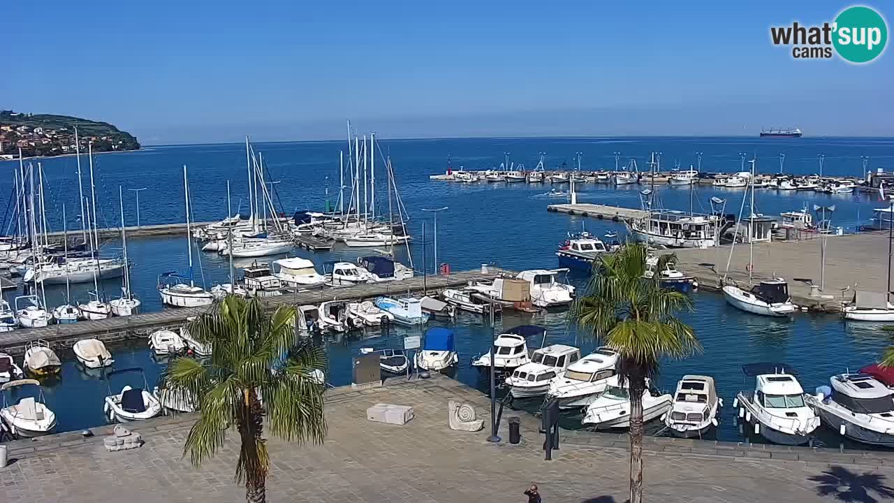 Livecam Koper – Ukmarjev trg