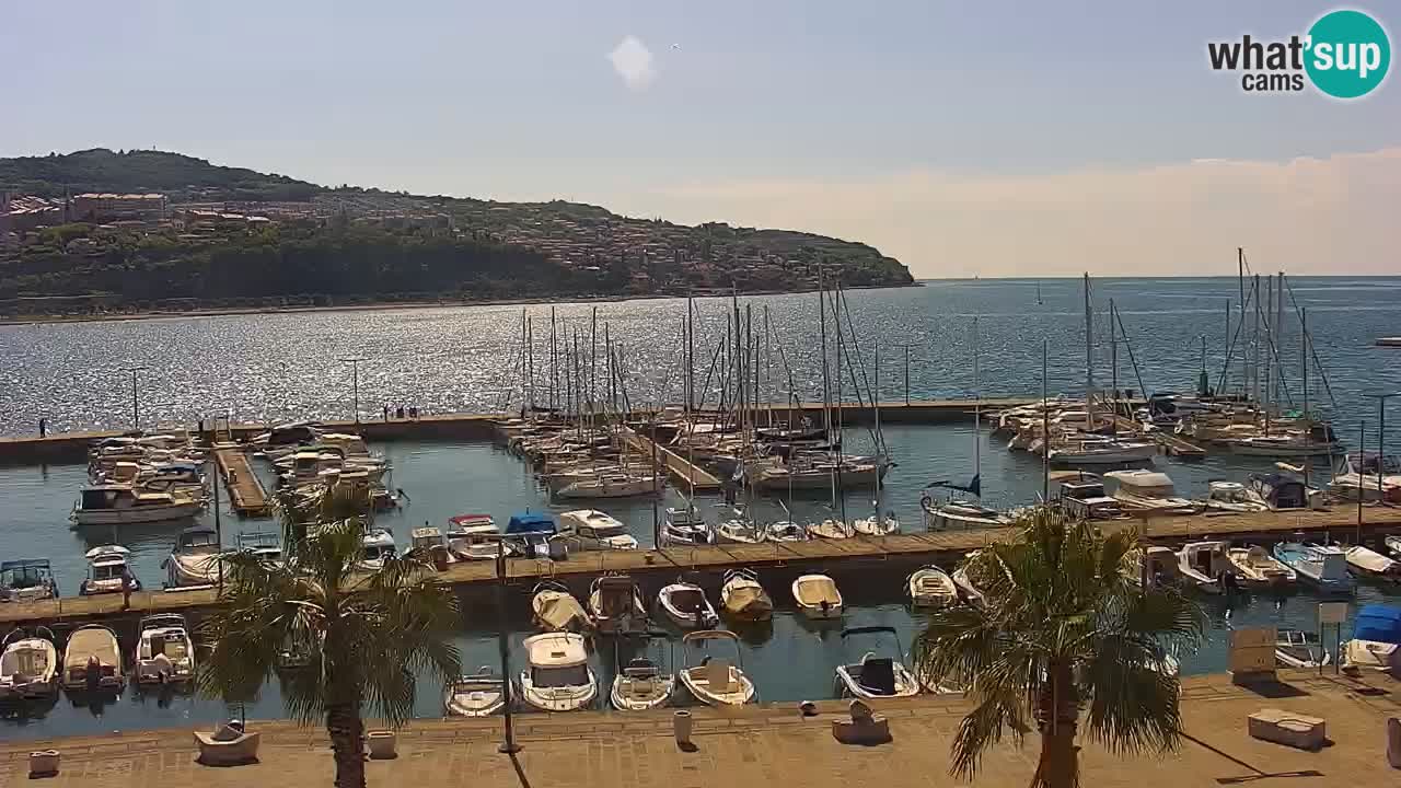Luka Kopar uživo web kamera – Turistički terminal i teretna luka – Slovenija