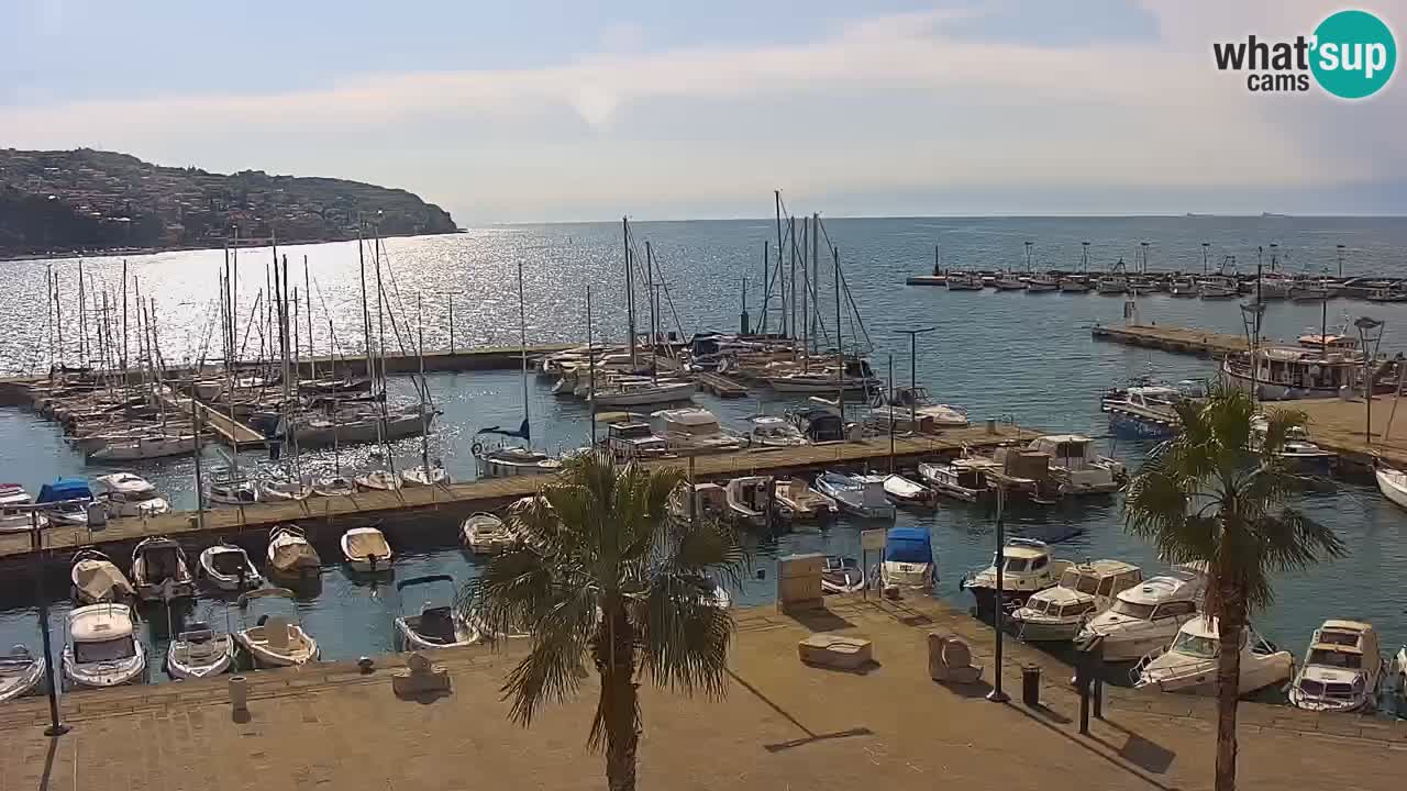 Webcam Koper – Panorama of the marina and promenade from the Grand Hotel Koper