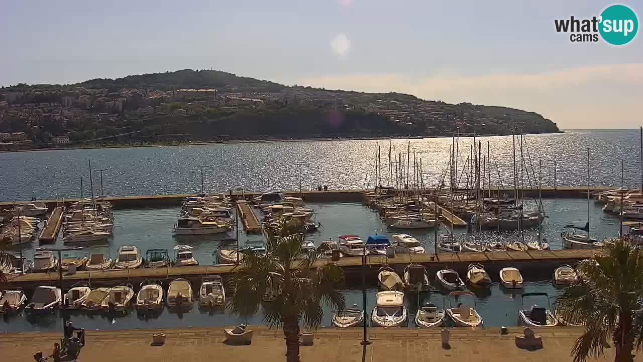 Der Hafen von Koper Live-Webcam – Kreuzfahrt- und Frachthafen – Slowenien