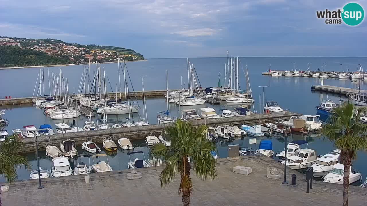 Webcam Koper – Panorama of the marina and promenade from the Grand Hotel Koper
