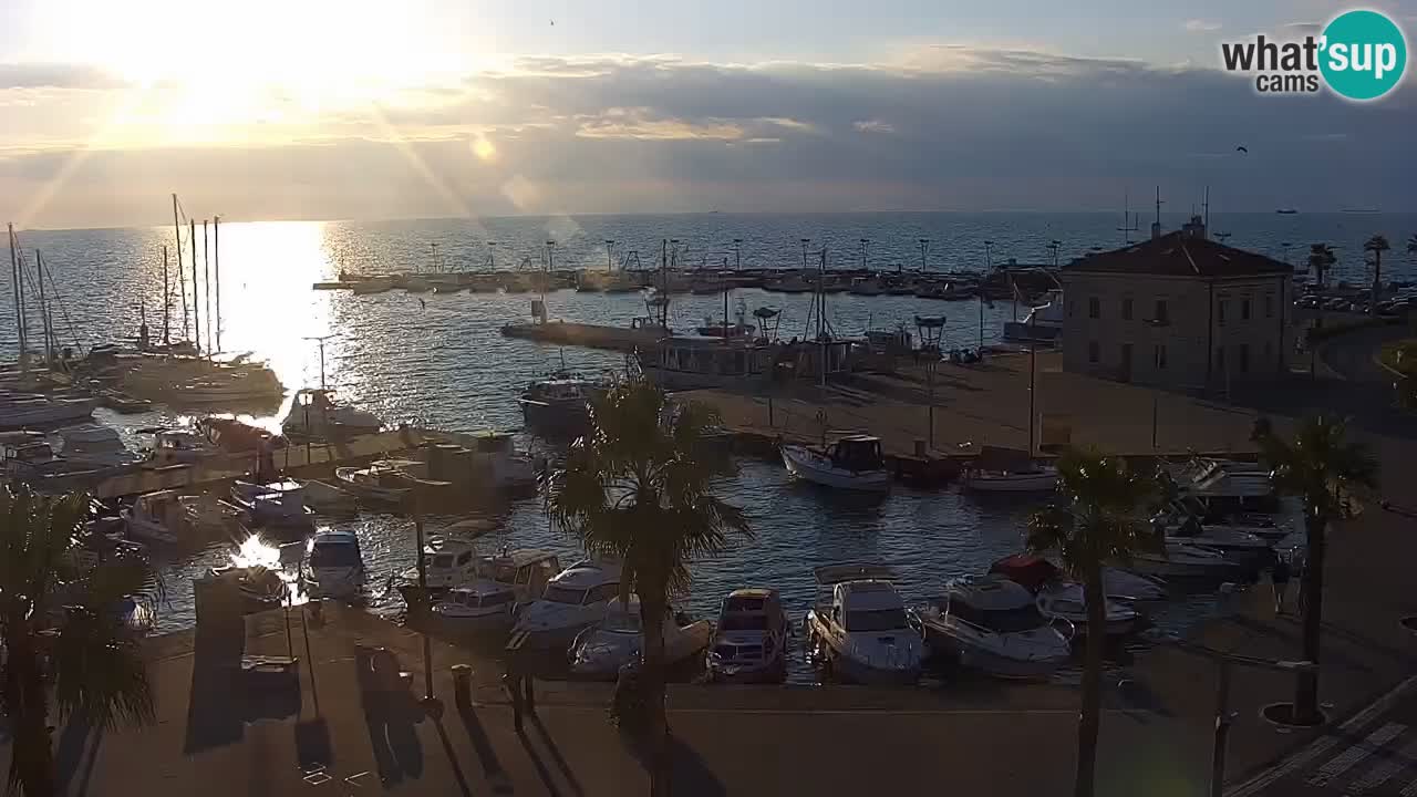 Der Hafen von Koper Live-Webcam – Kreuzfahrt- und Frachthafen – Slowenien