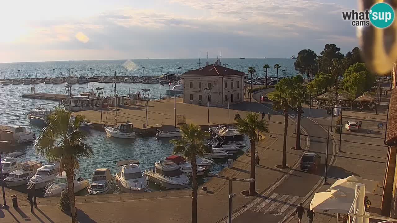 Livecam Koper – Ukmarjev trg