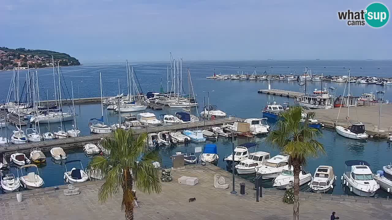 Il porto di Koper – Capodistria live webcam – porto crociere e mercantile – Slovenia