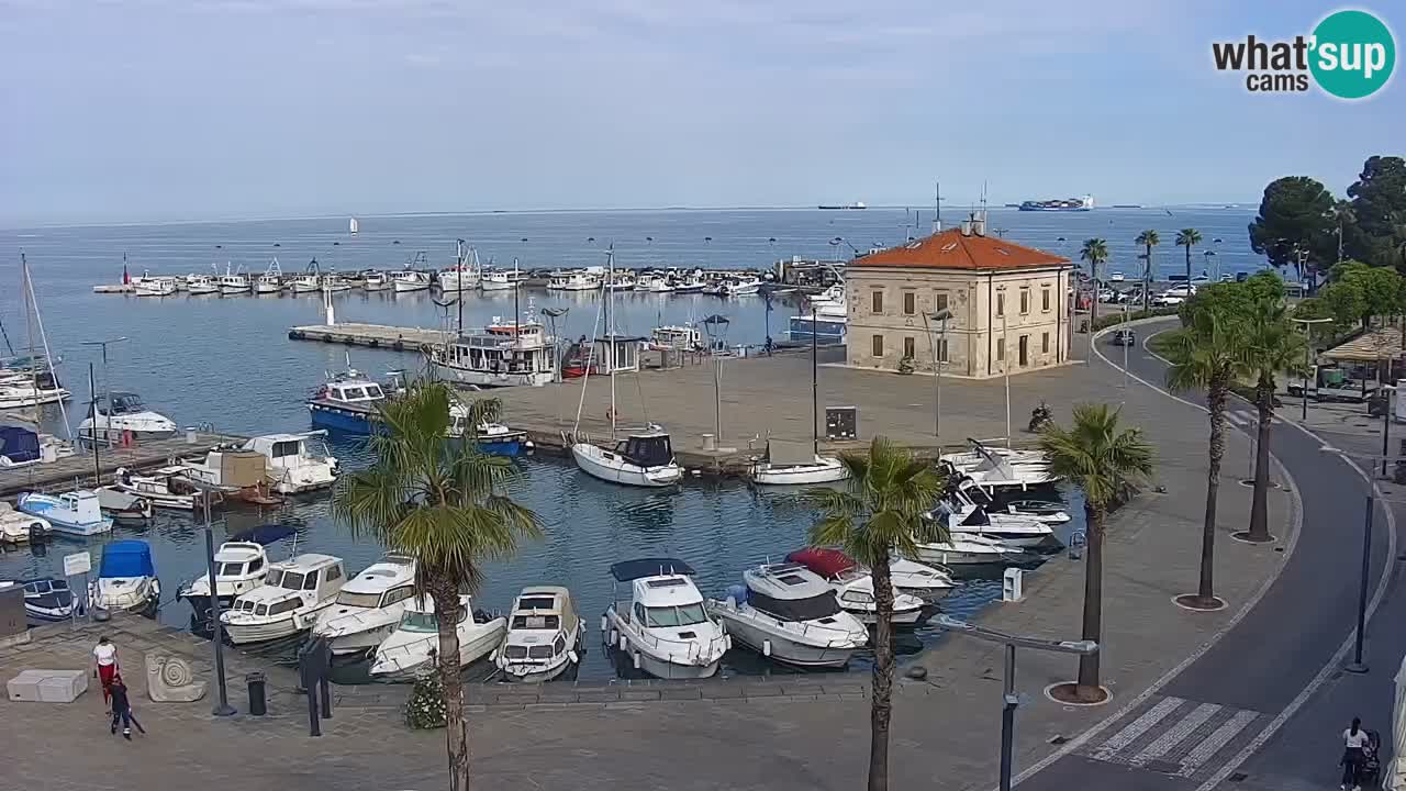 Luka Kopar uživo web kamera – Turistički terminal i teretna luka – Slovenija