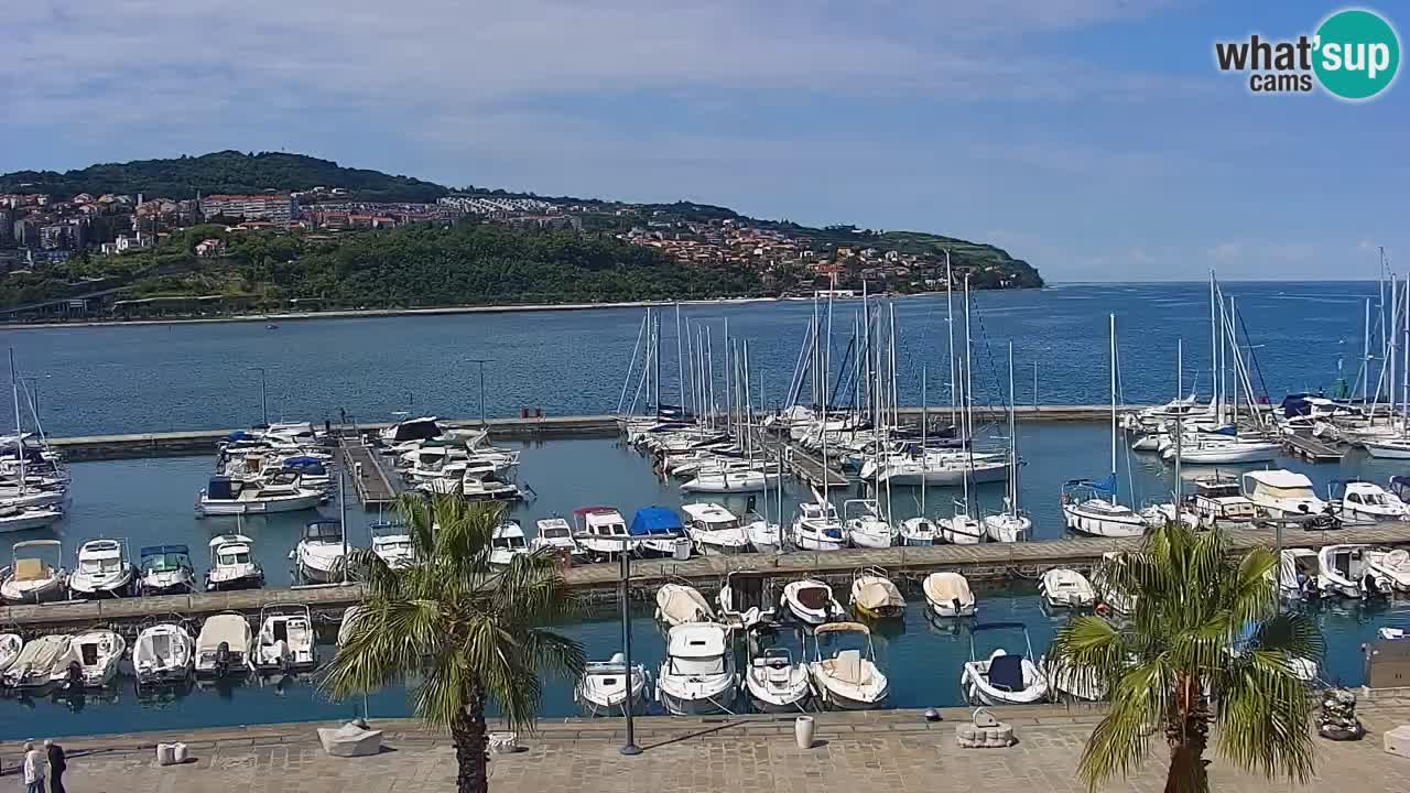 Il porto di Koper – Capodistria live webcam – porto crociere e mercantile – Slovenia