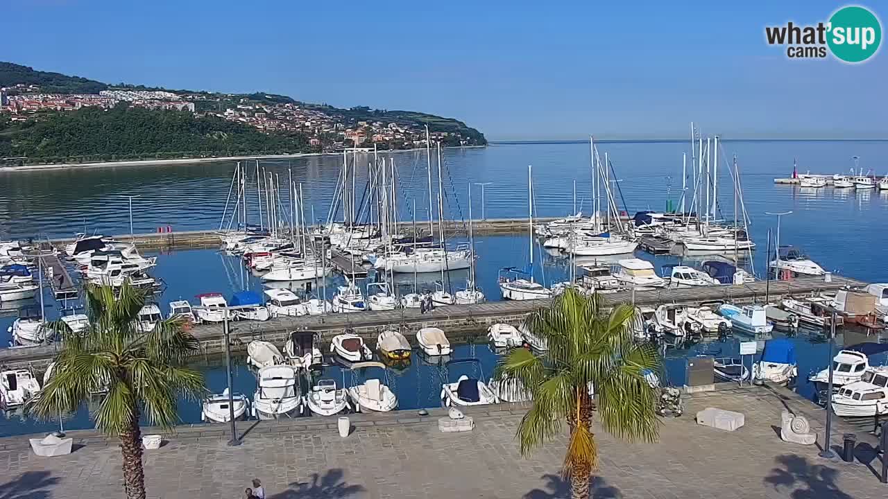 Webcam Koper – Panorama of the marina and promenade from the Grand Hotel Koper