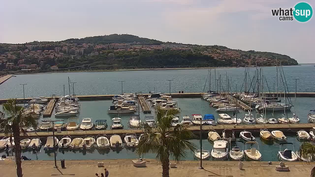 Spletna kamera Koper – Panorama na marino in promenado s Hotela Grand Koper