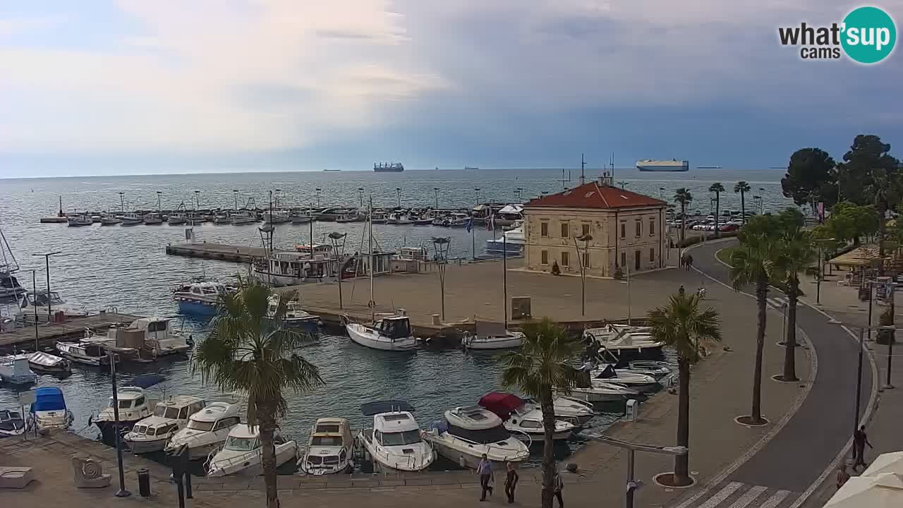 Spletna kamera Koper – Panorama na marino in promenado s Hotela Grand Koper