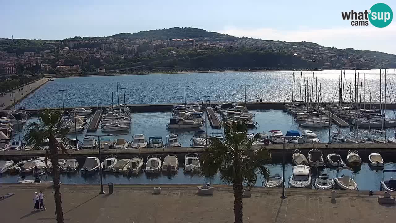 Spletna kamera Luka Koper v živo – Potniški terminal in tovorno pristanišče – Slovenija