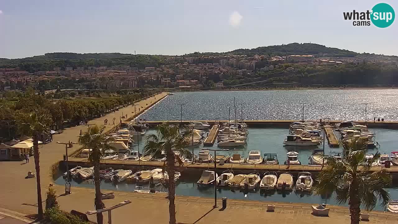 Webcam Capodistria – Piazza Ukmar