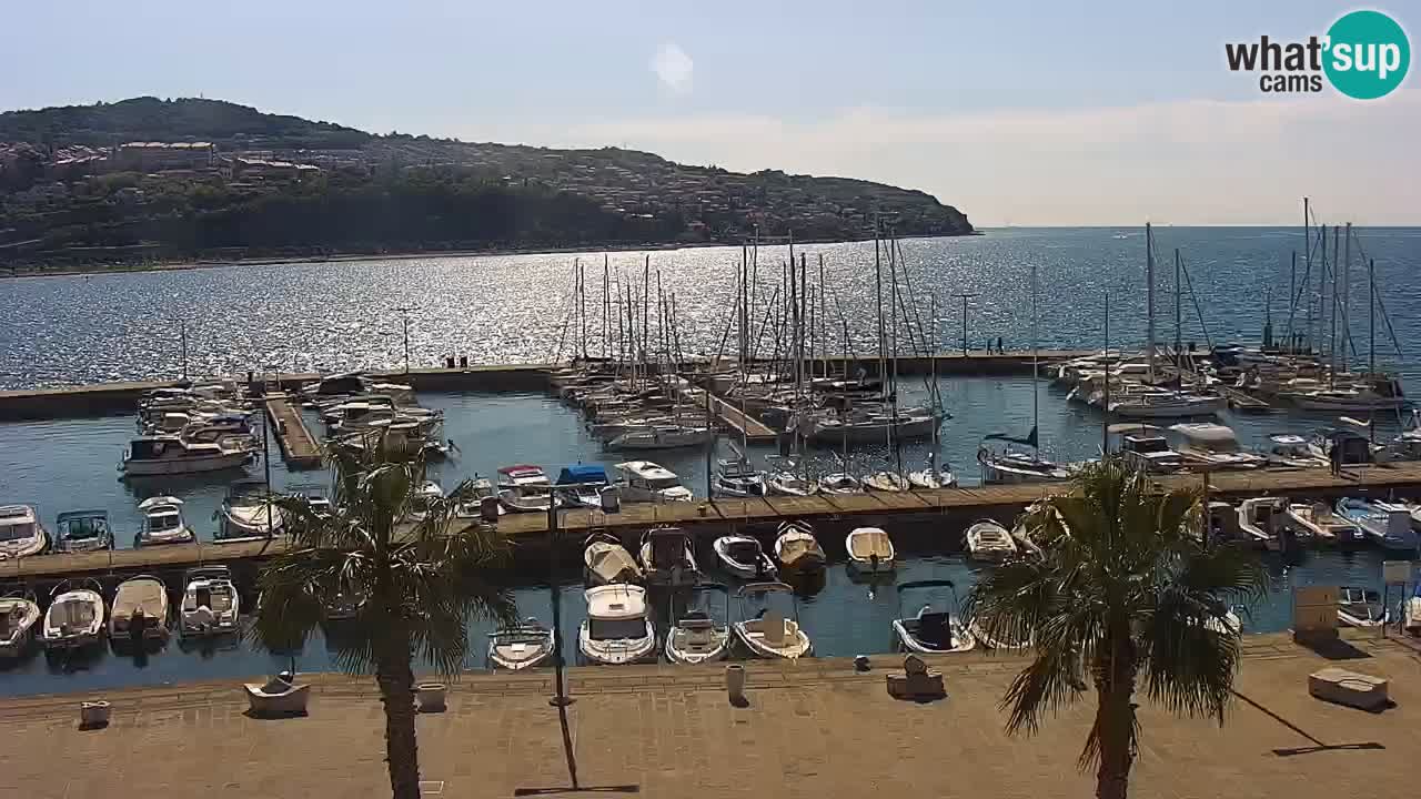 Webcam Capodistria – marina e lungo mare dall’Hotel Grand Koper