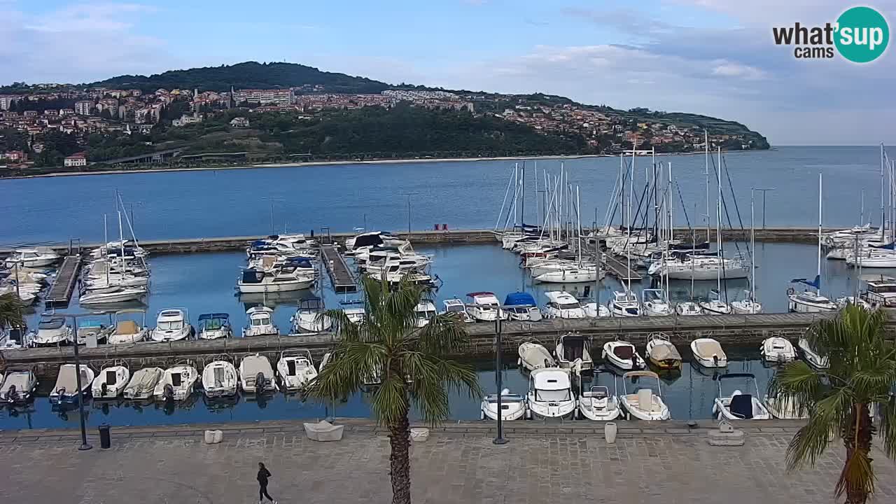 Web kamera Koper – marina i promenada – hotel Grand Koper