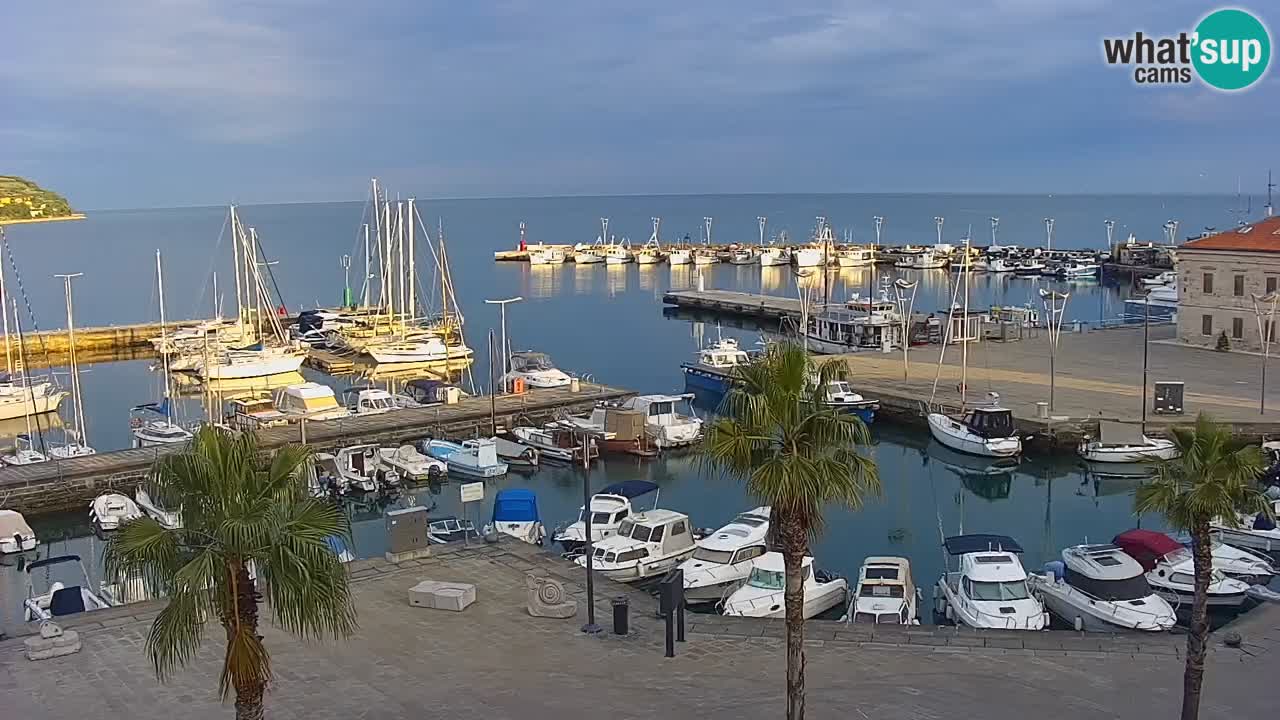 Webcam Koper – Panorama des Jachthafens und der Promenade vom Hotel Grand Koper