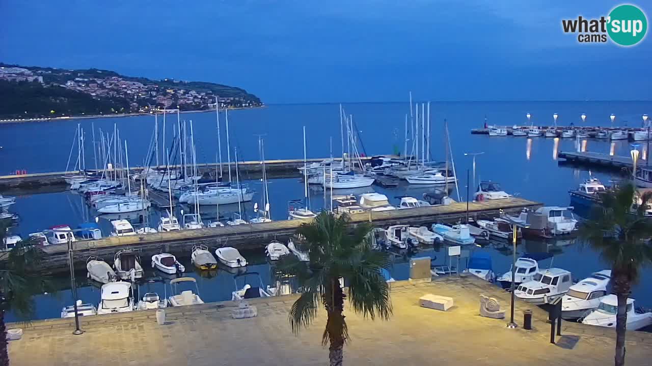 The Port of Koper live webcam – cruise and cargo port – Slovenia