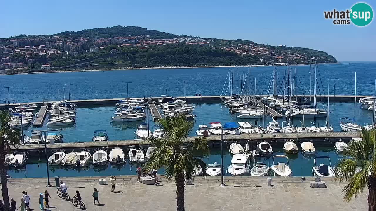 The Port of Koper live webcam – cruise and cargo port – Slovenia
