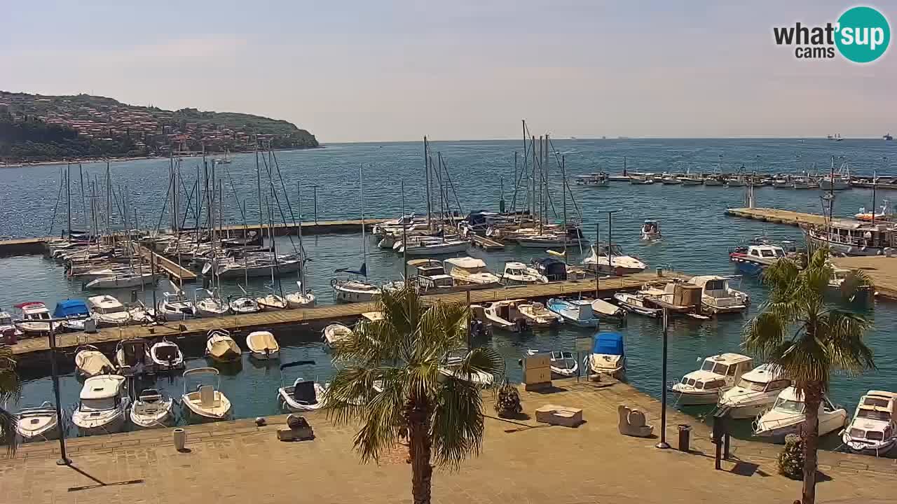 Camera en vivo Koper – puerto deportivo y paseo marítimo desde el Hotel Grand Koper