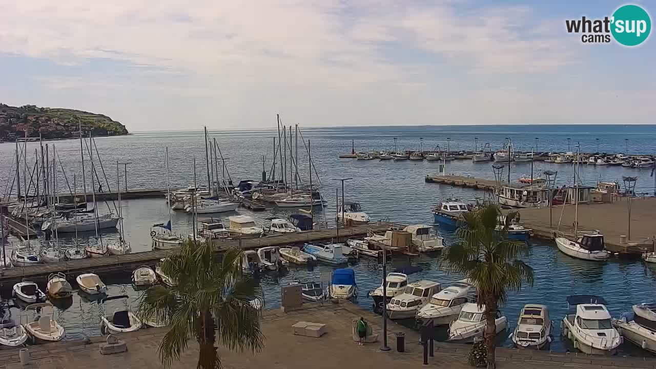 Spletna kamera Koper – Panorama na marino in promenado s Hotela Grand Koper