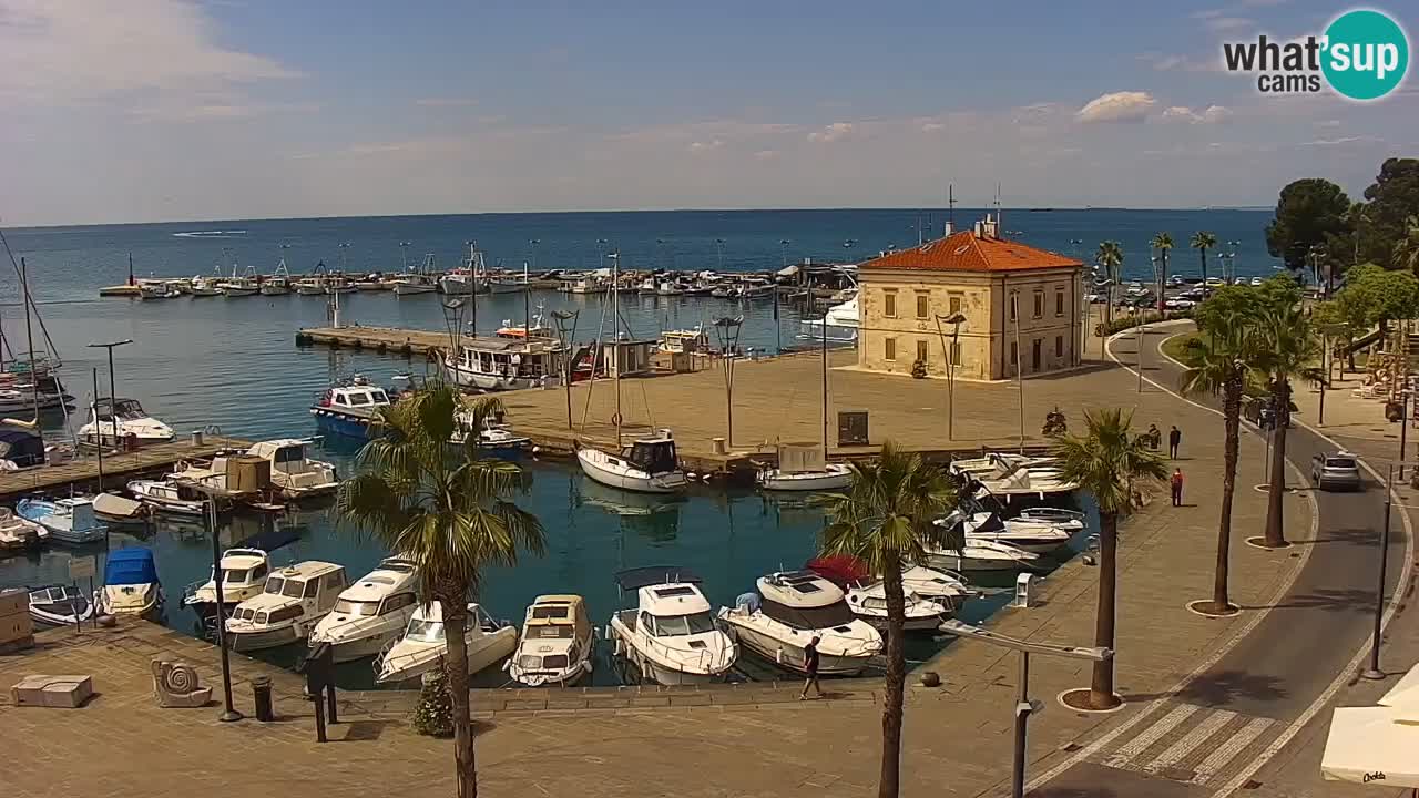Der Hafen von Koper Live-Webcam – Kreuzfahrt- und Frachthafen – Slowenien