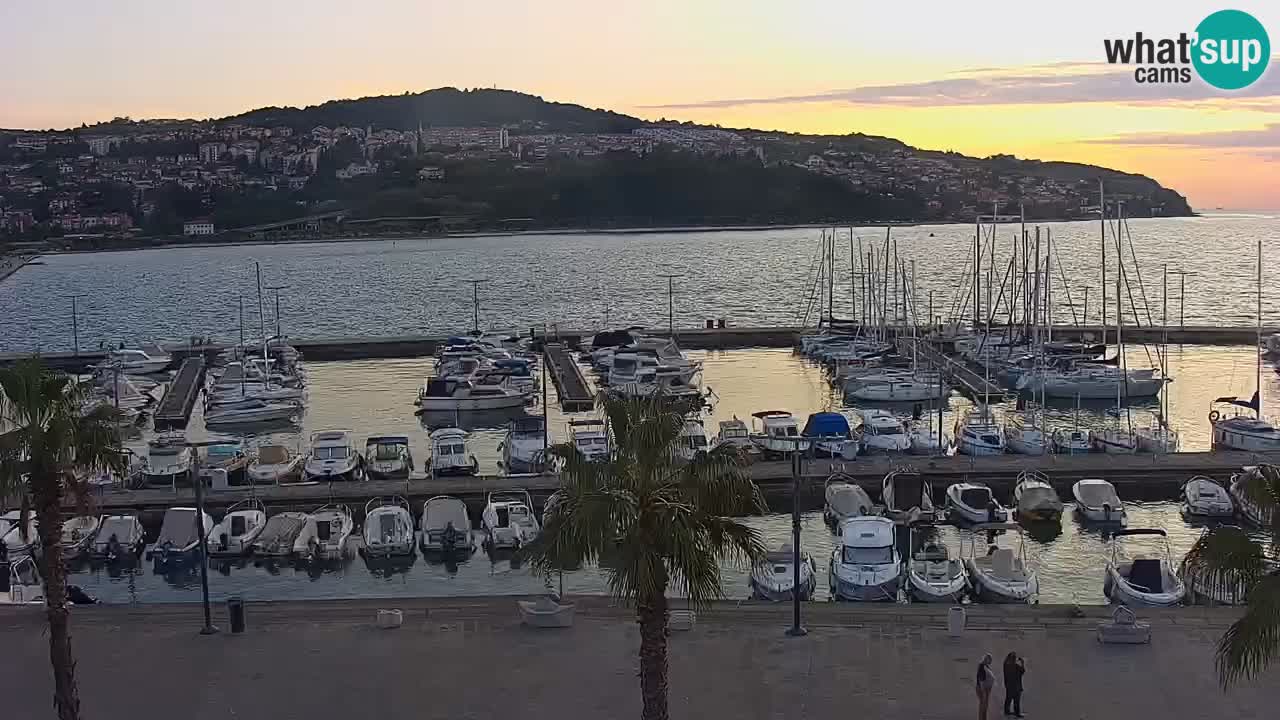 Livecam Koper – Ukmarjev trg