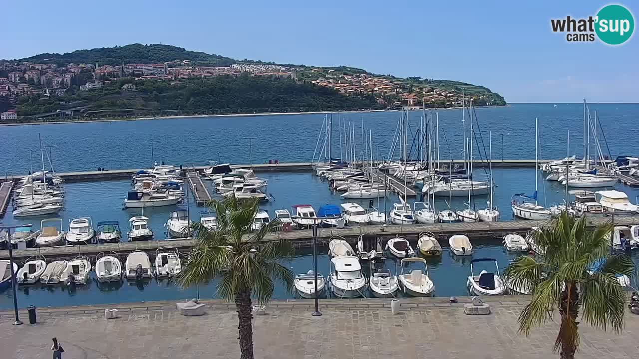 Il porto di Koper – Capodistria live webcam – porto crociere e mercantile – Slovenia