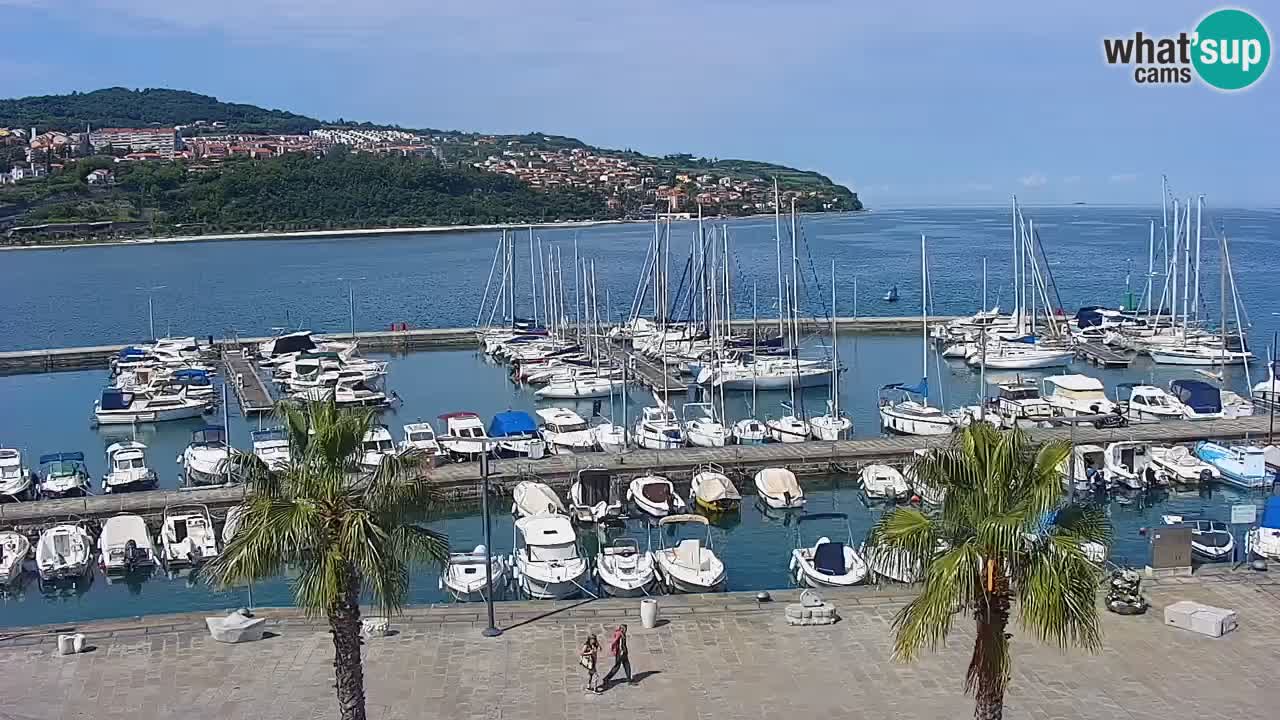 Webcam Capodistria – marina e lungo mare dall’Hotel Grand Koper